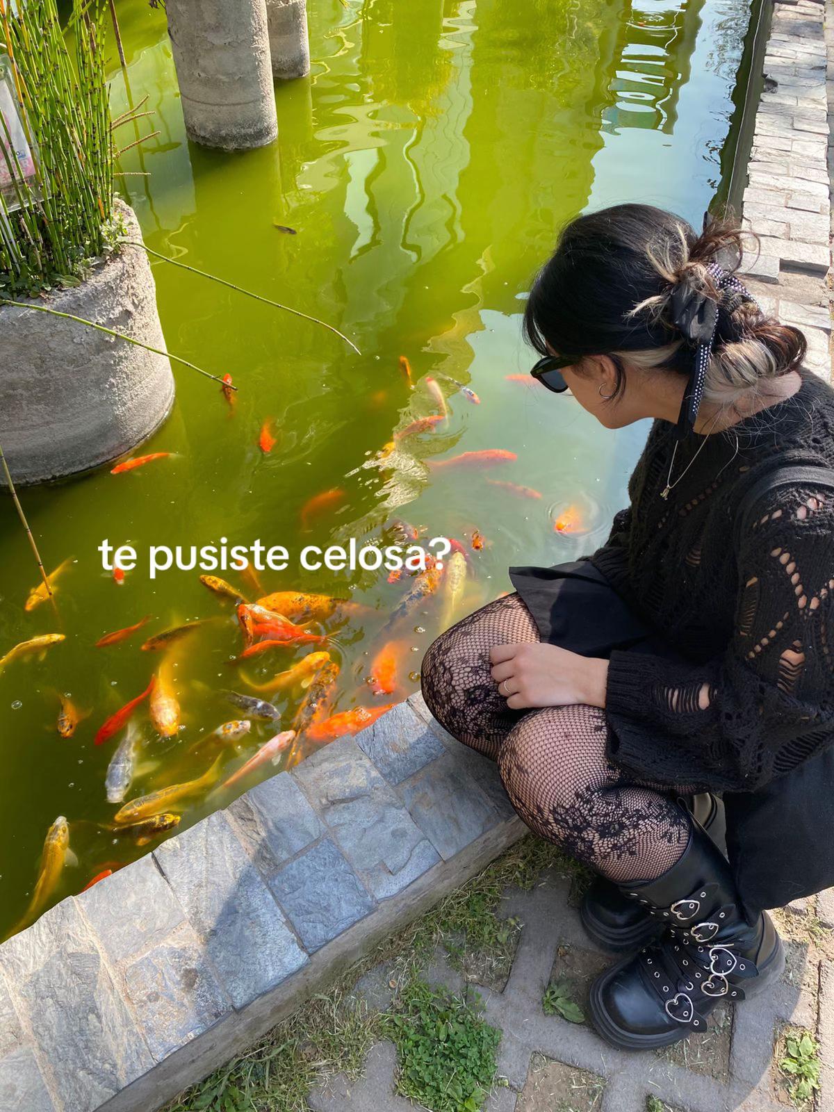 @isa