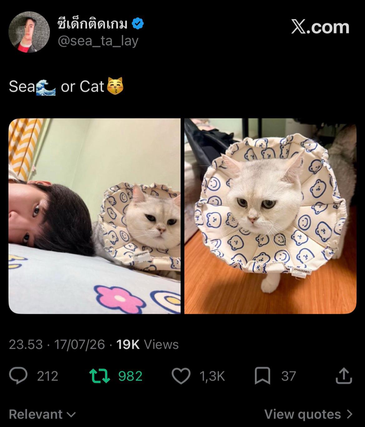@Biuuu🦦🦞🍀