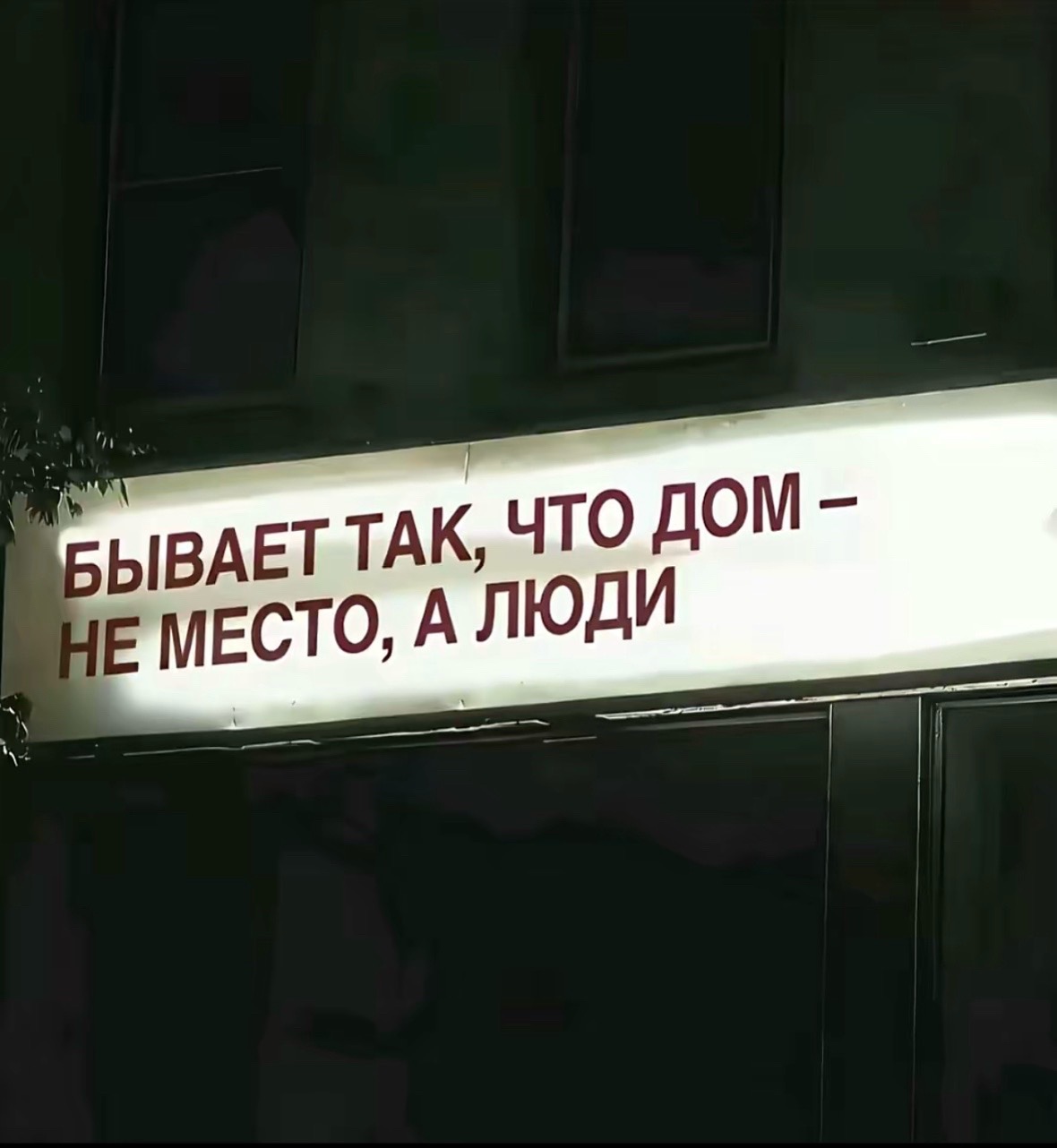 @neliko