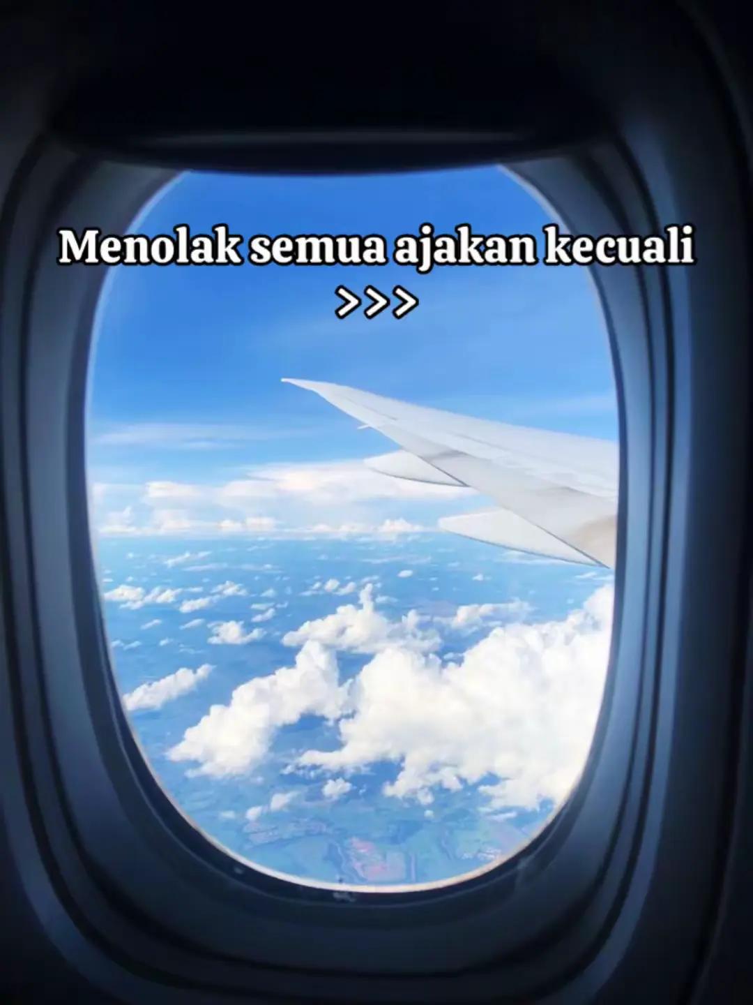 @tintinraynervacation
