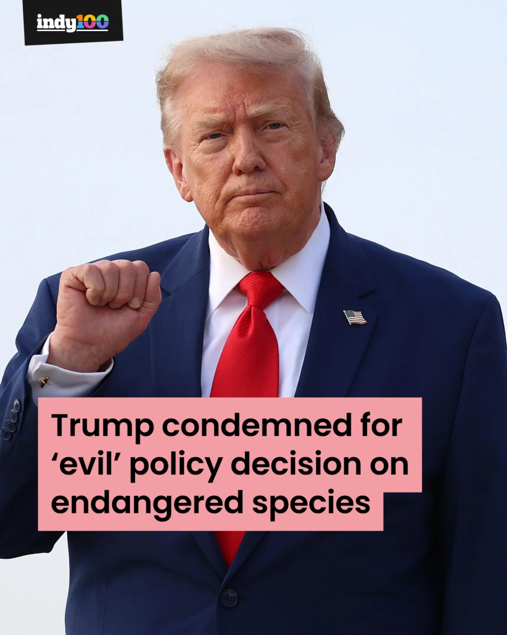 @Indy100