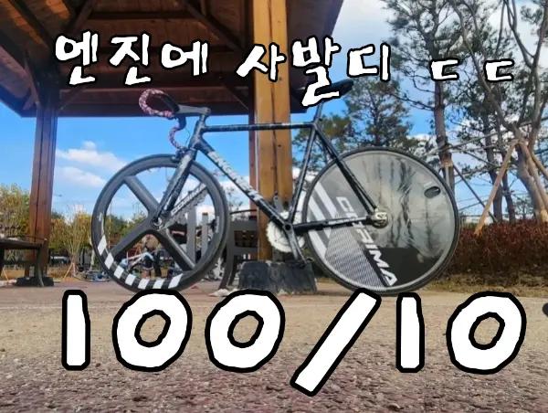 @안산 쓰나미