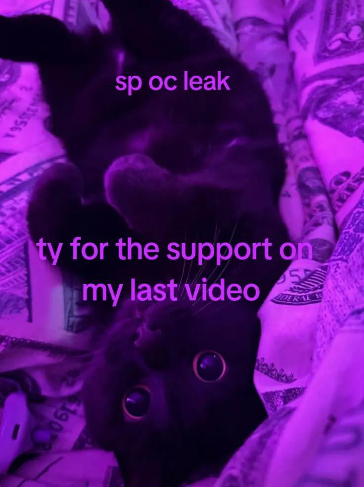 @𝄞Brains_Fallingfrom_mymouth𝄞