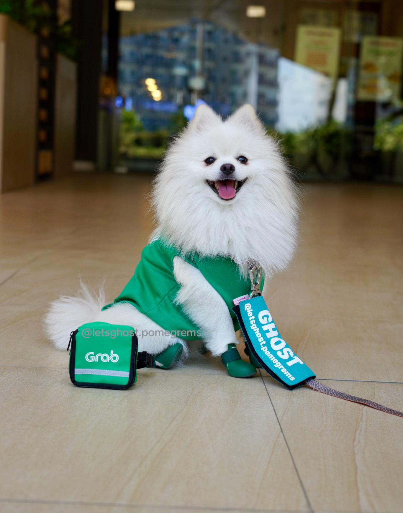 @G H O S T TheRunnerPom