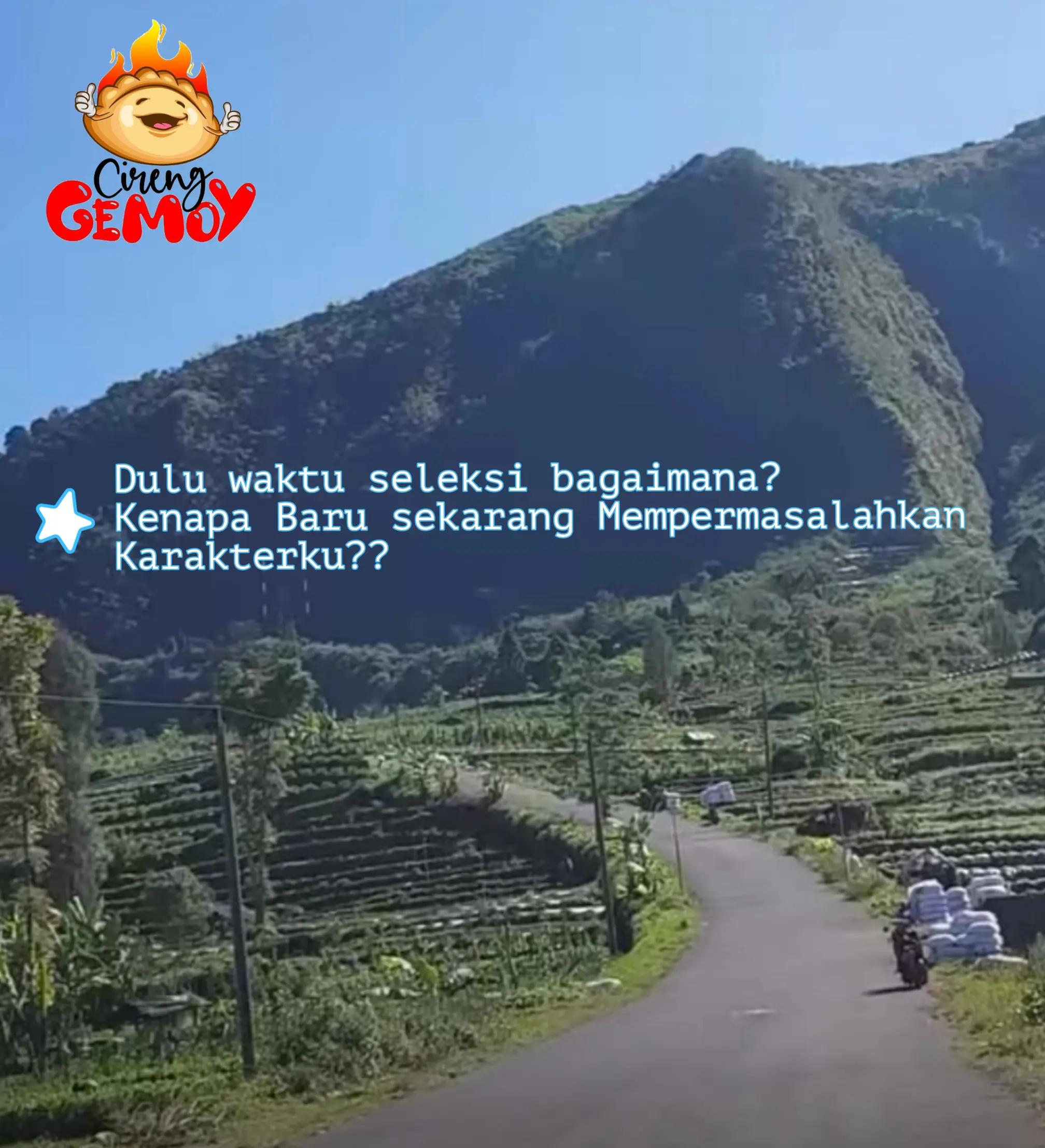 @Champlenk_Bralink