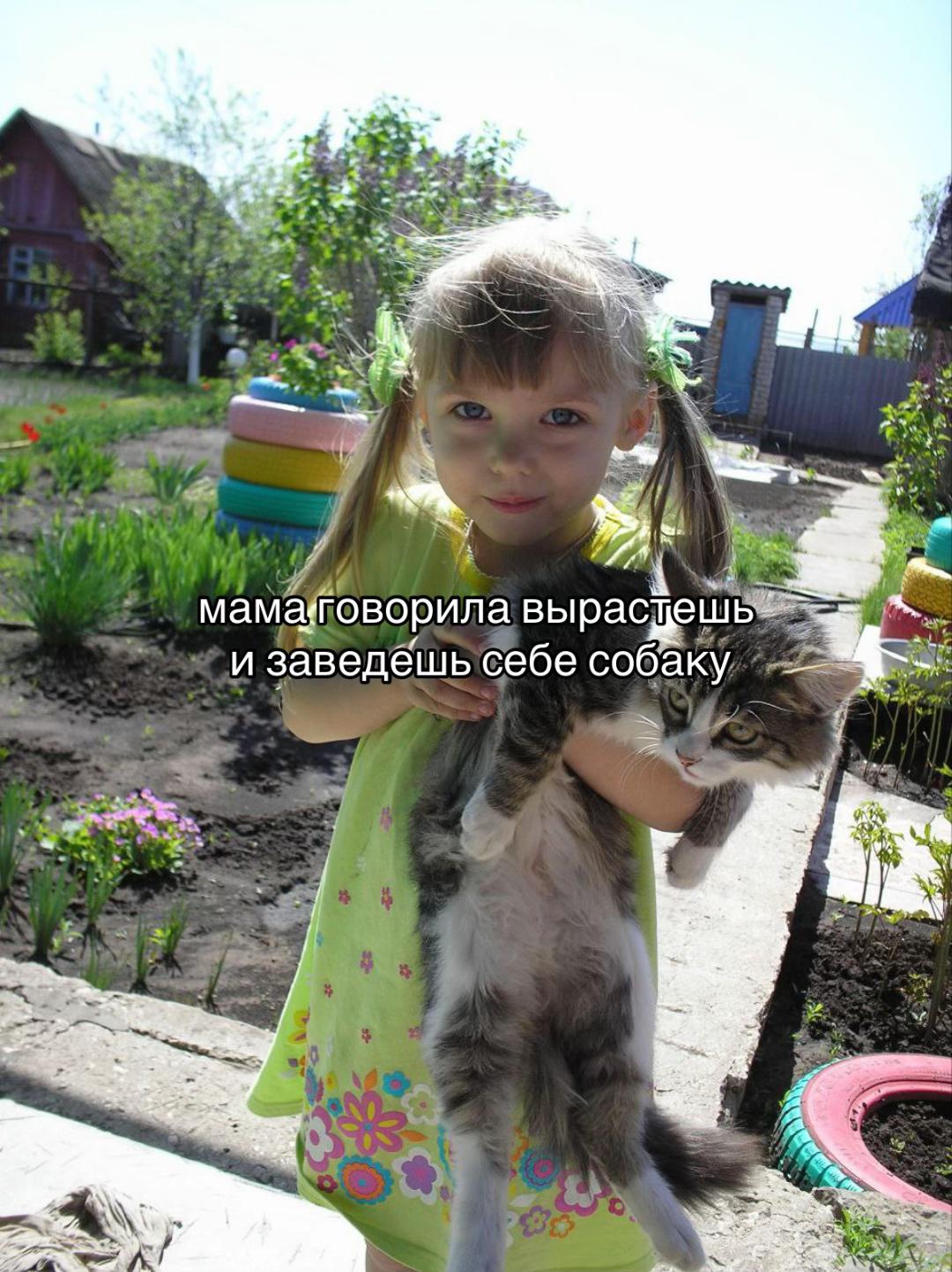 @тгк: sonyummy