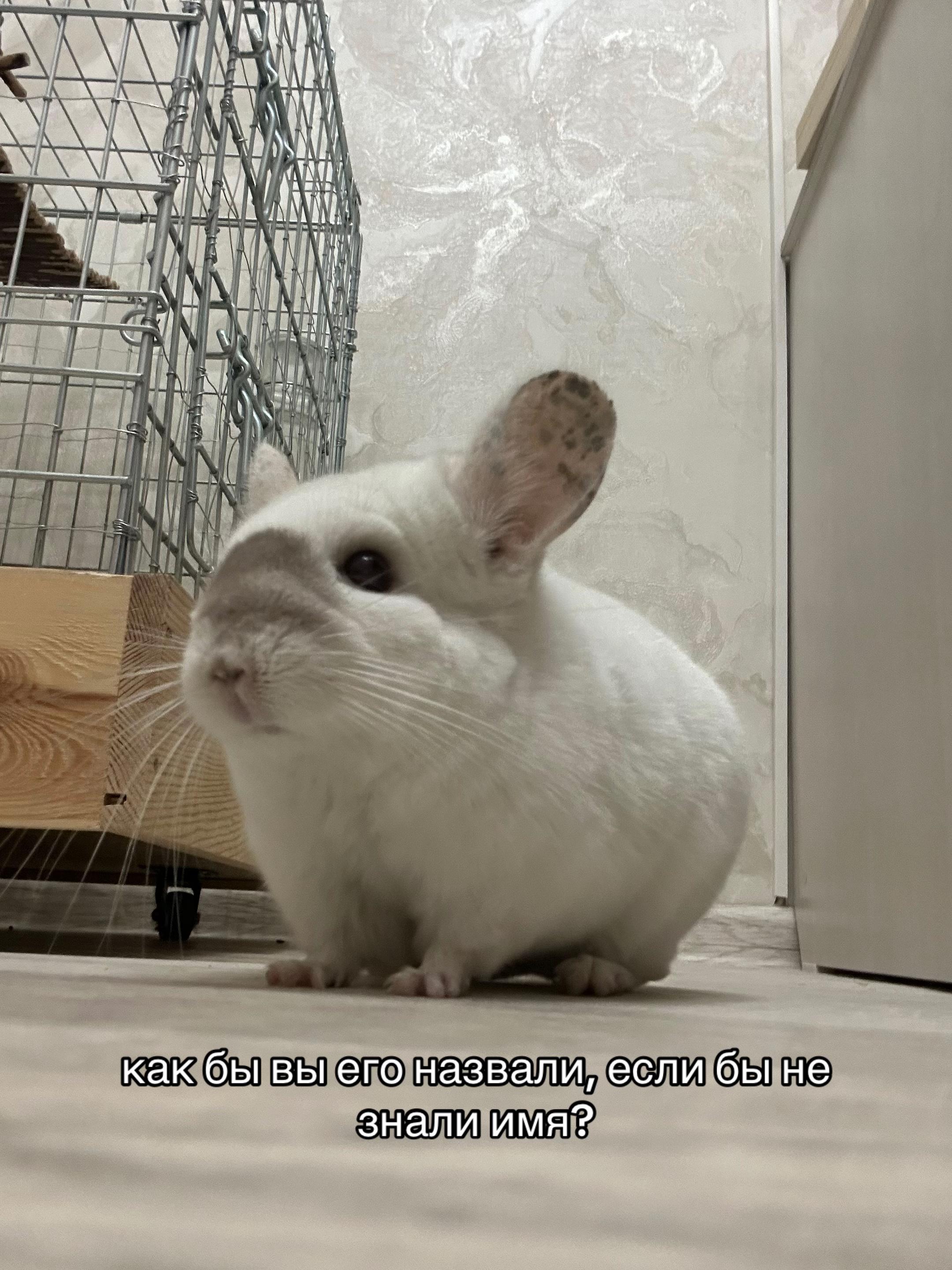 @Лулу