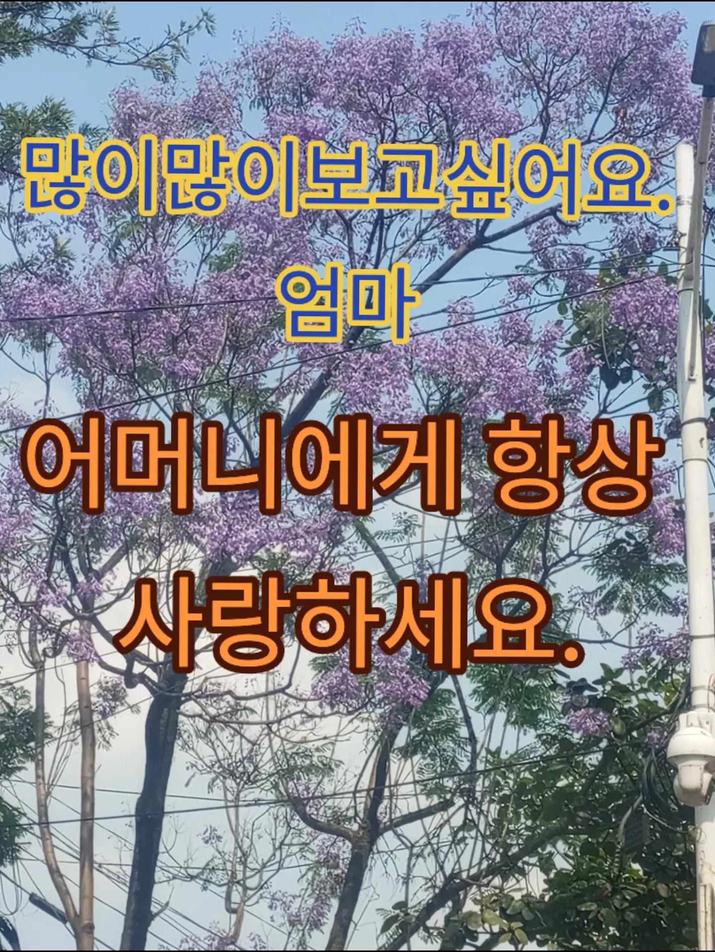 @꿈 한국🇰🇷🇳🇵