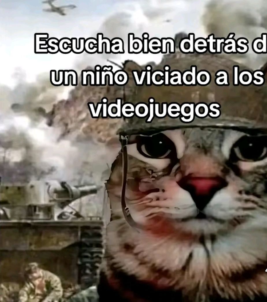 @(〃 ̄ー ̄〃)