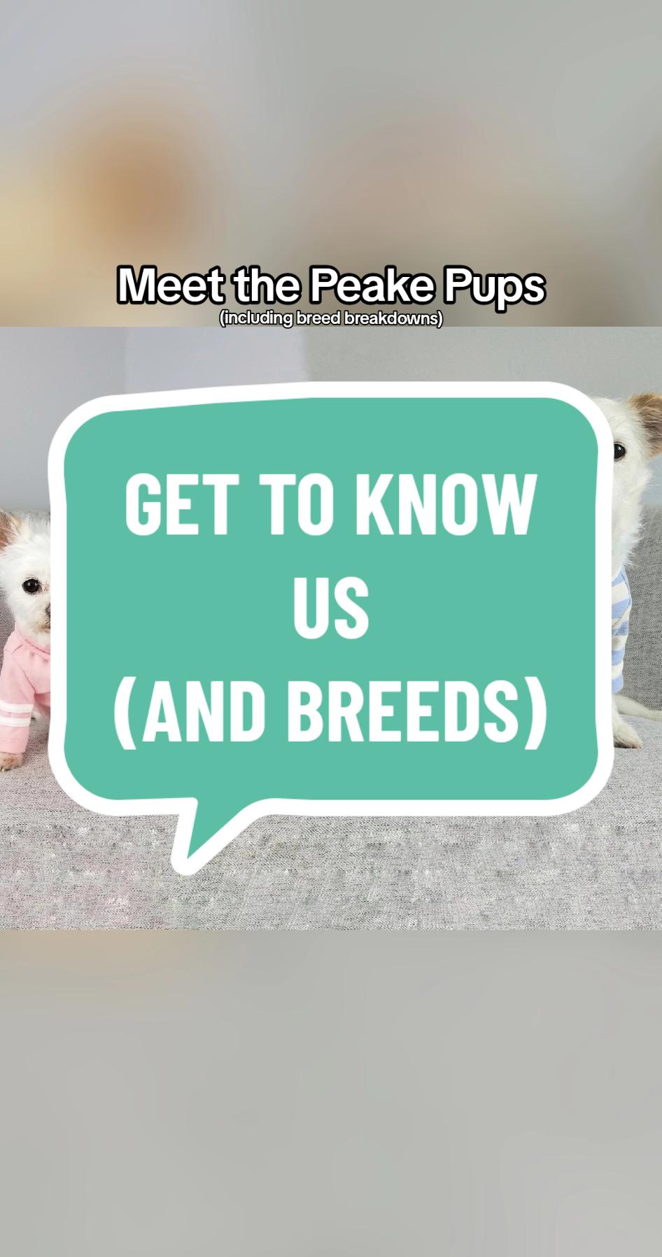 @Peake Pups