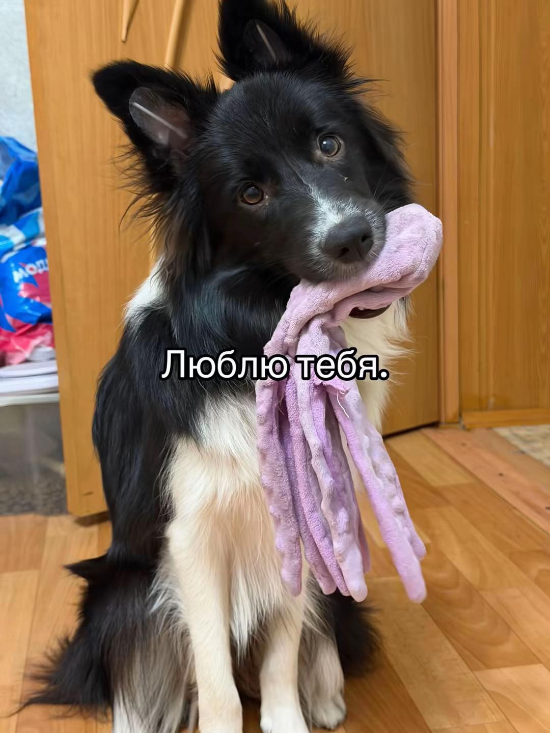 @nastya_hey