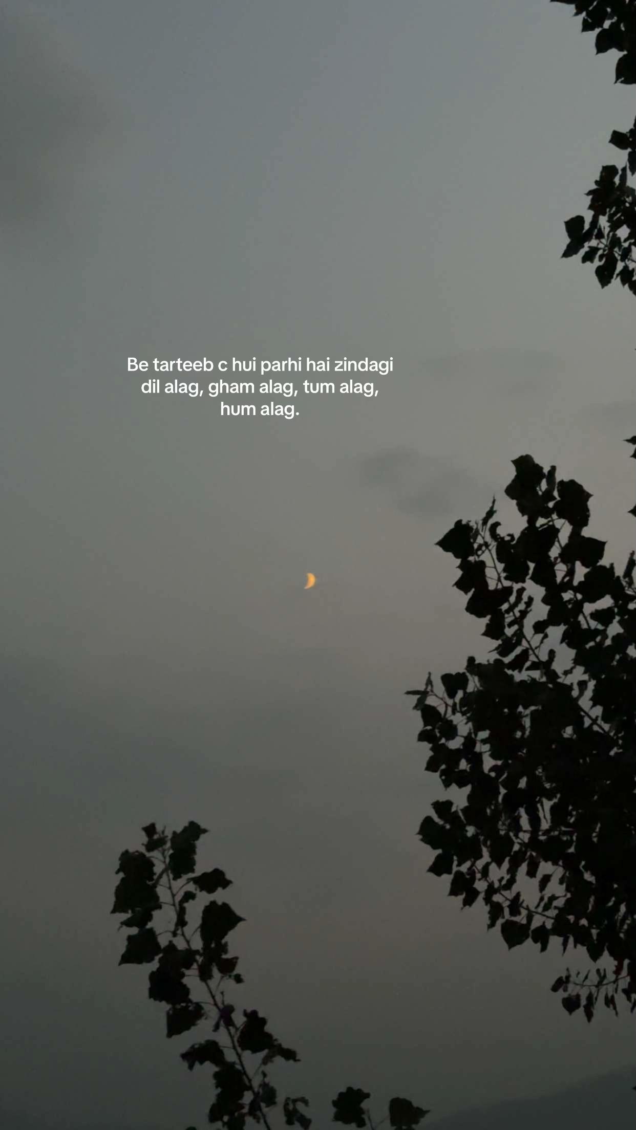 @ᖴᗩᗪᗴᗪ.𝗦𝗫𝗕_