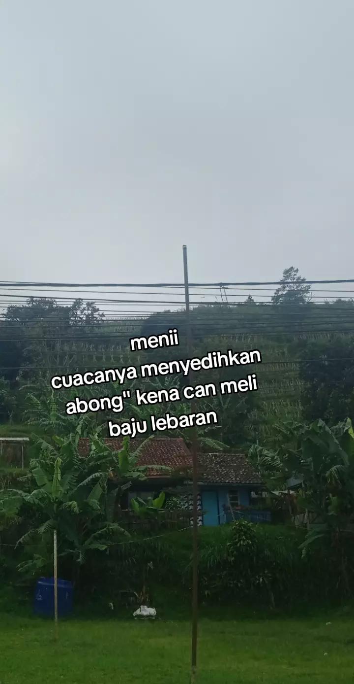 @ad virgo