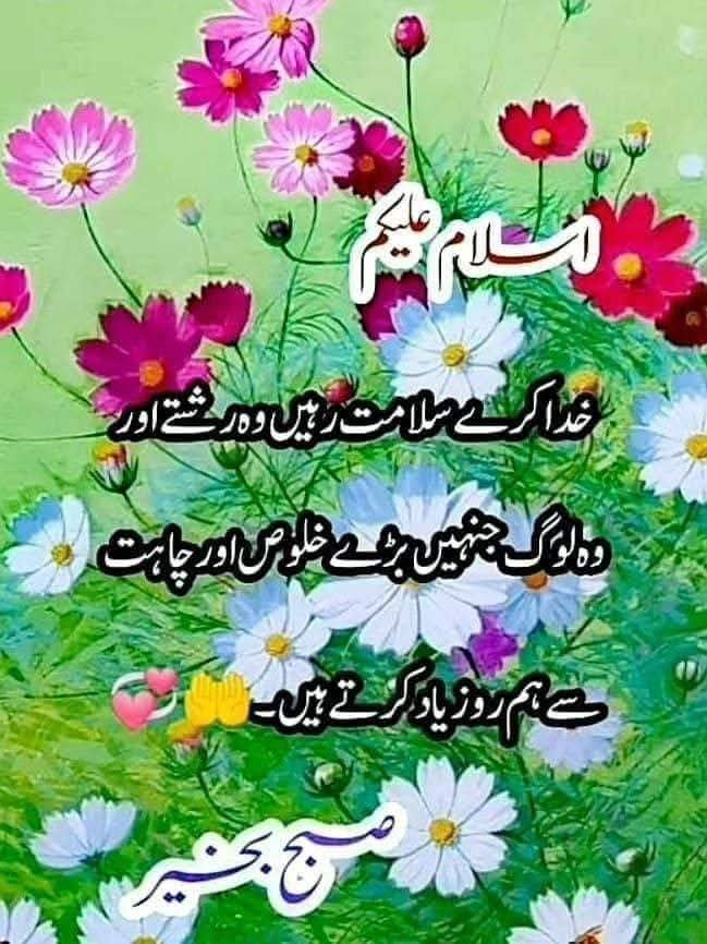 @user5741796268247