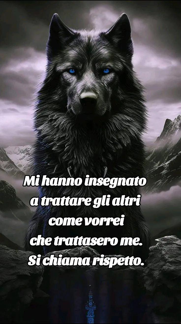 @🐺🗽Crazy Wolf.