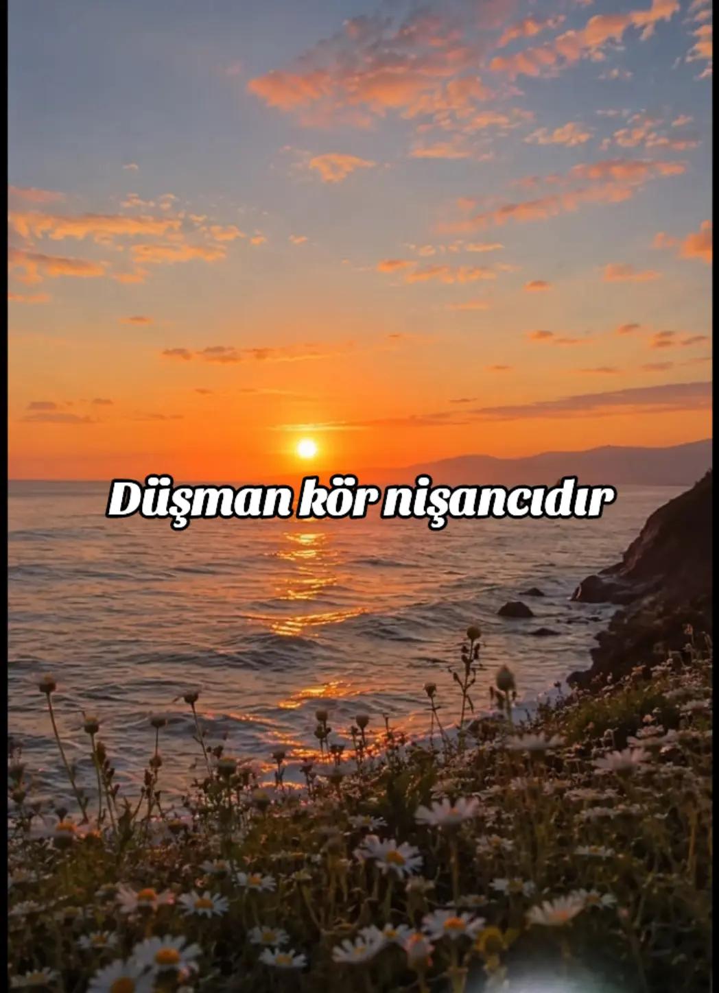 @⋆. 𐙚˚࿔ Nisa 𝜗𝜚˚⋆