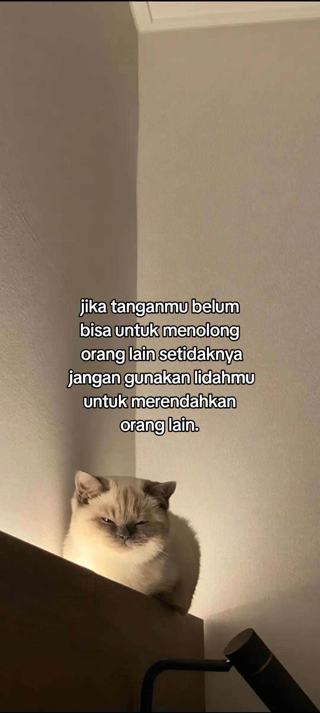 @1717