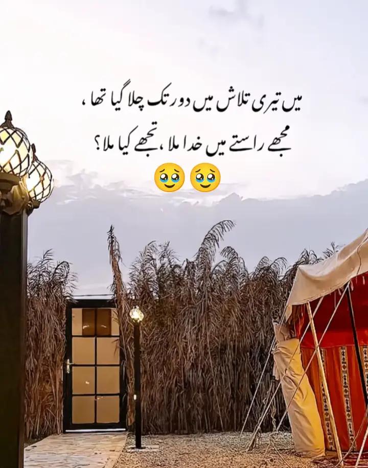 @Saeed Maher