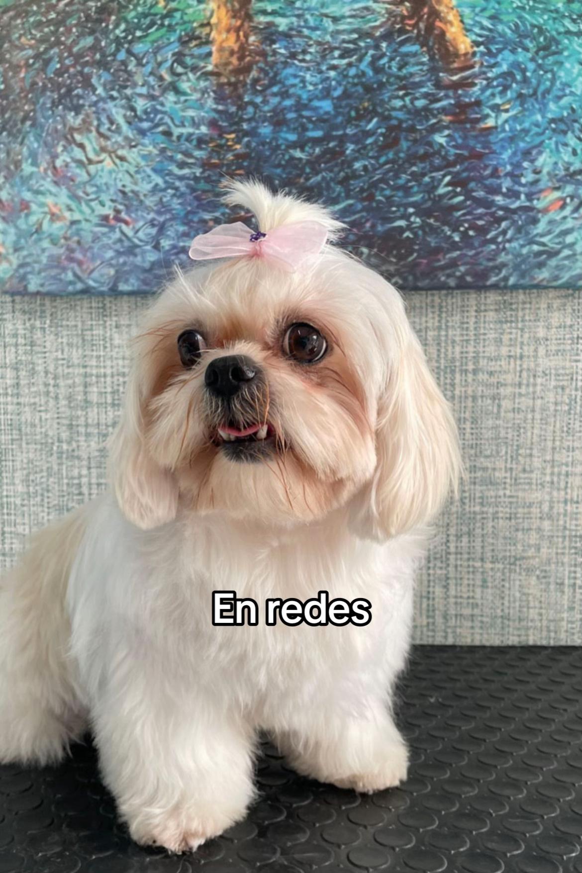 @Esmeralda Curiel