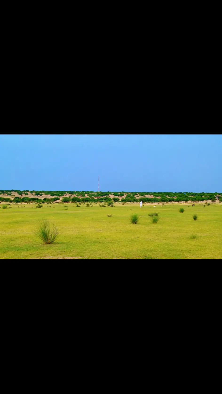 @Voix du Konoum