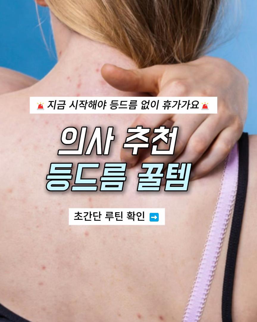 @닥터 헤일로