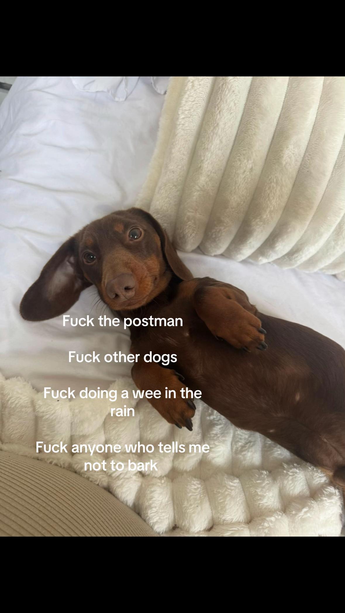 @Kyra Ann