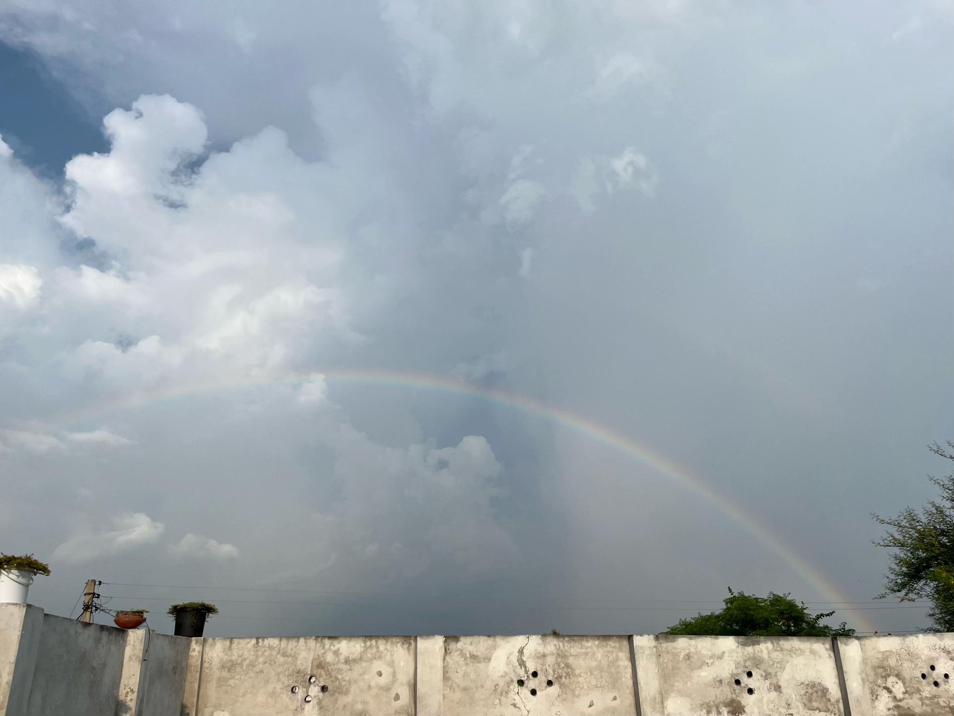 @زوجہ عمیر کیانی⚜️