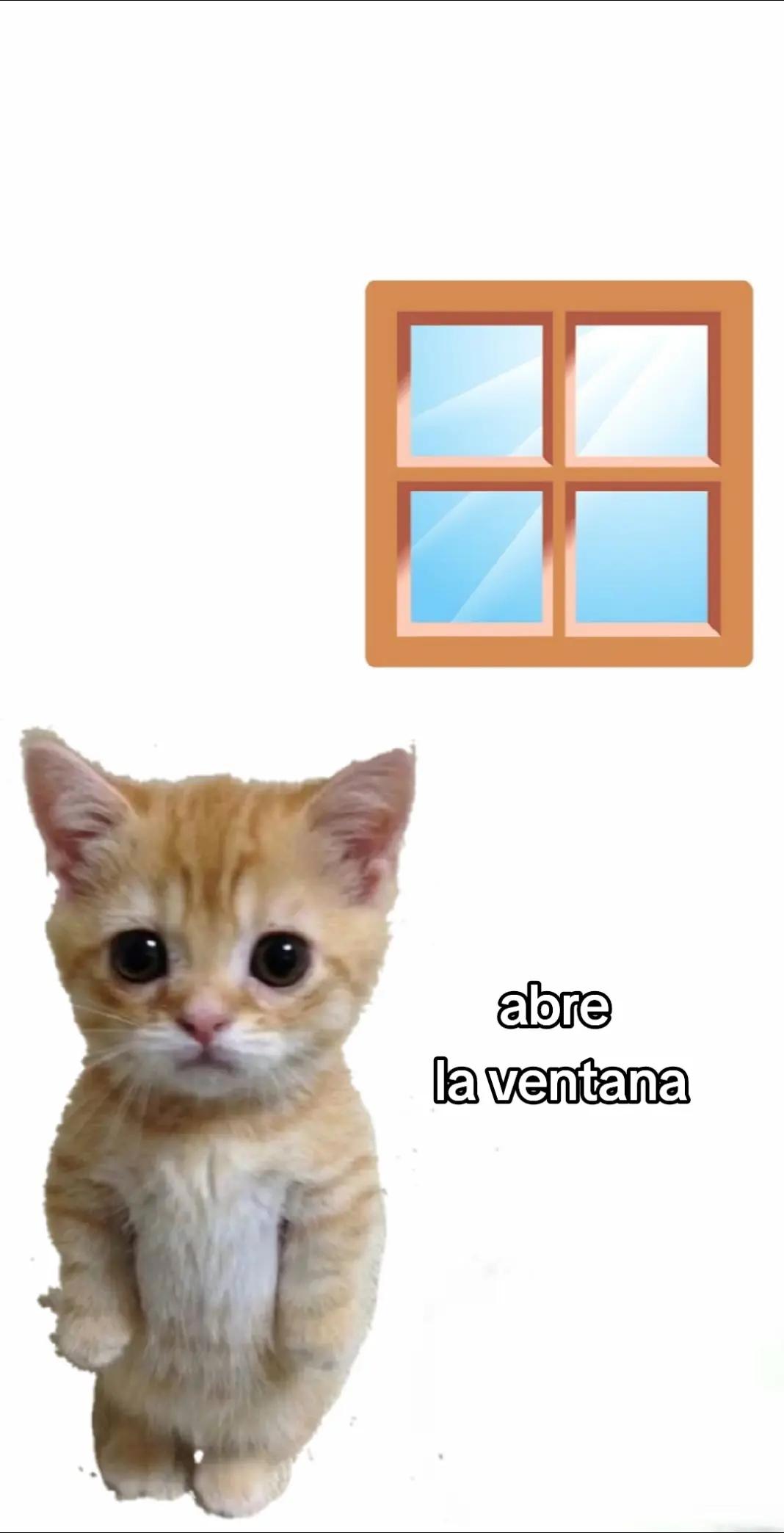 @alejandra flores
