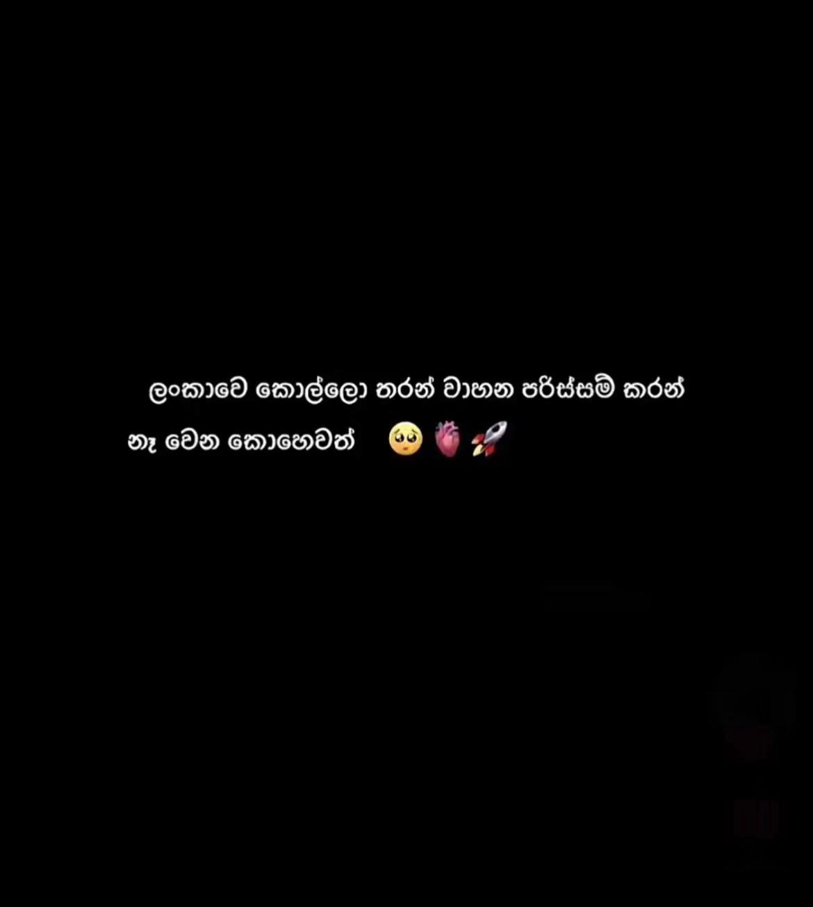 @AVIYA 🐊