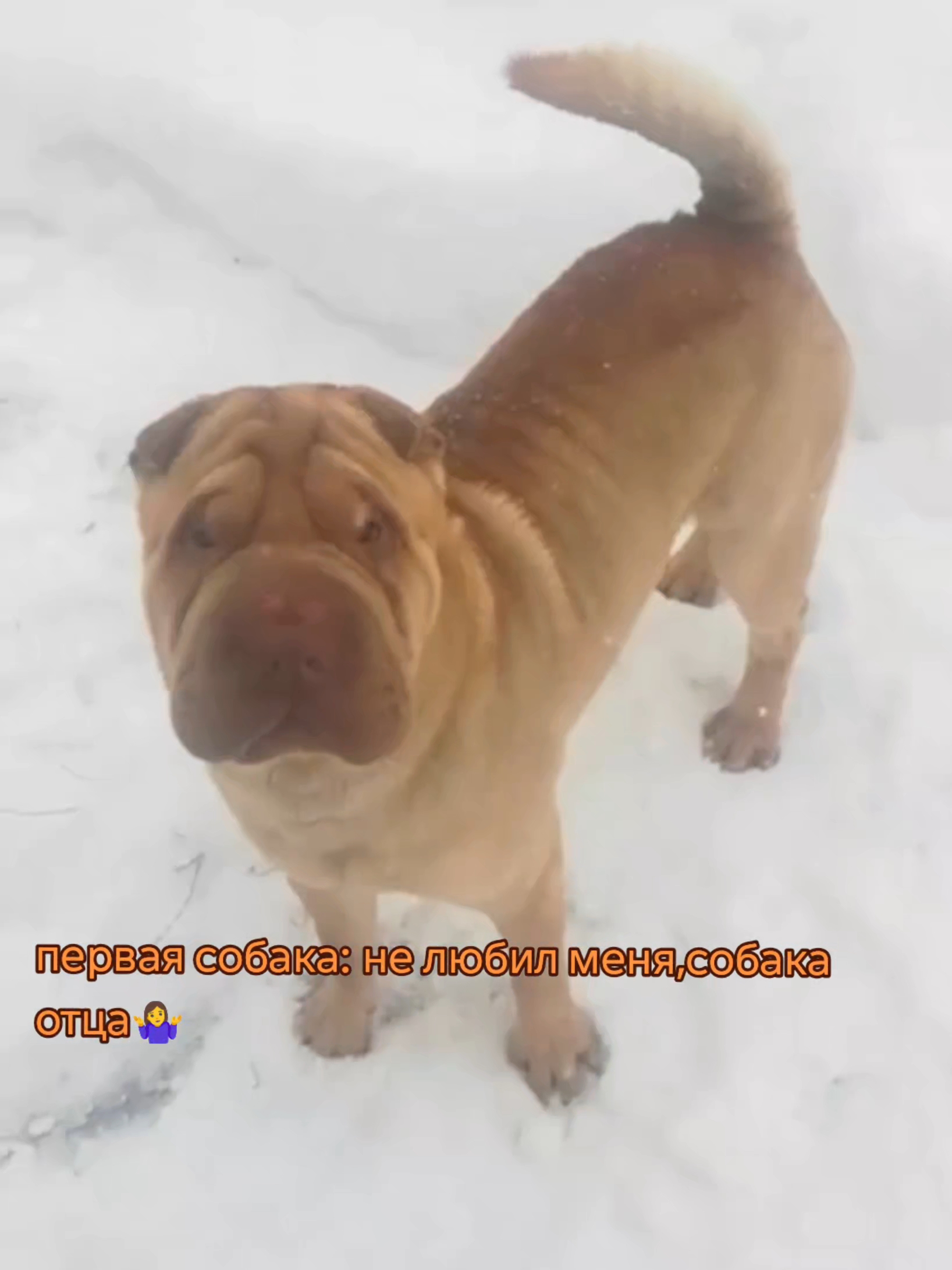@ოׄꫀթцᥲнꭎꫀ