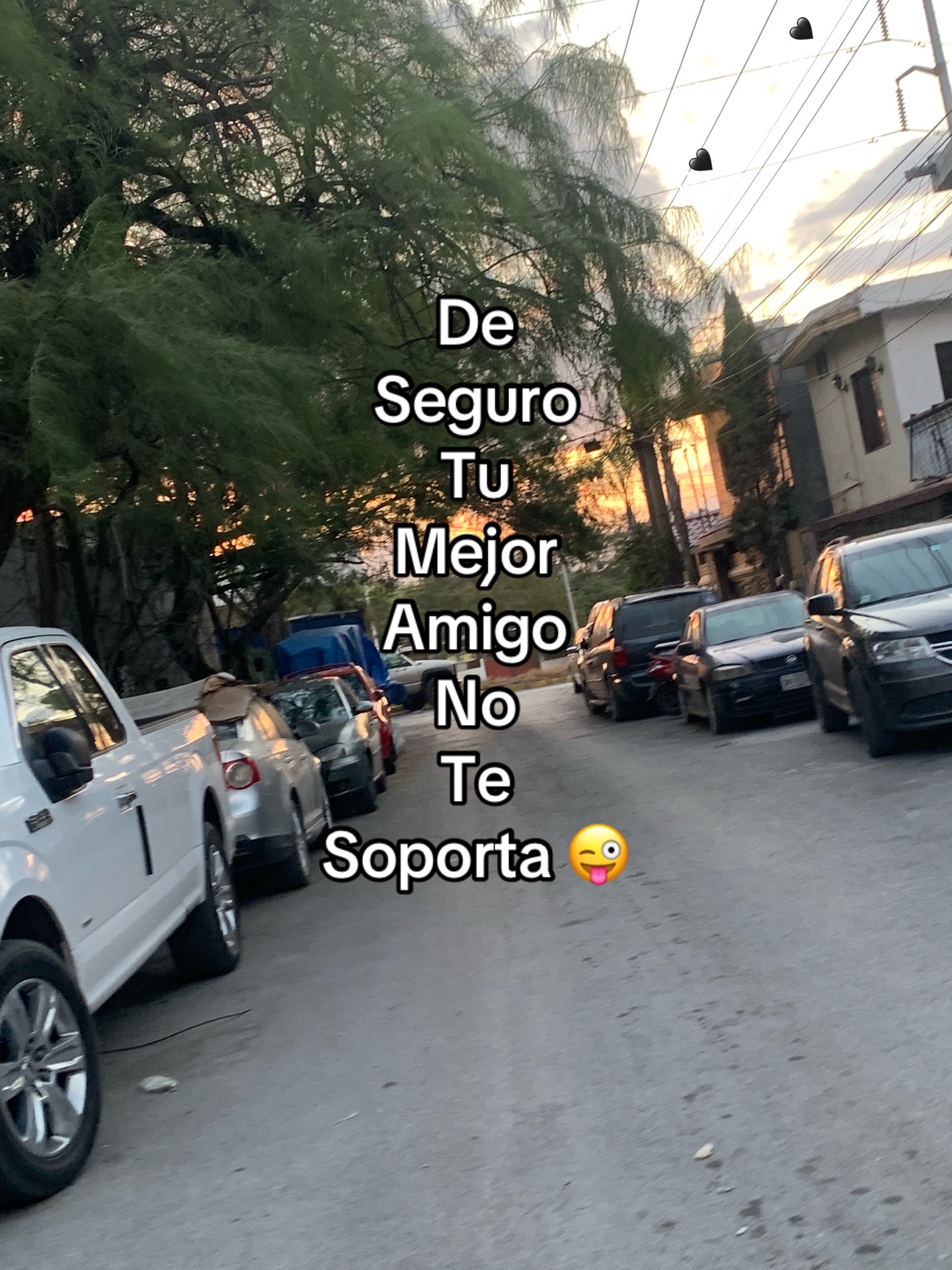 @🥷🏻🥺✌🏻niki57✌🏻🥺🥷🏻💔