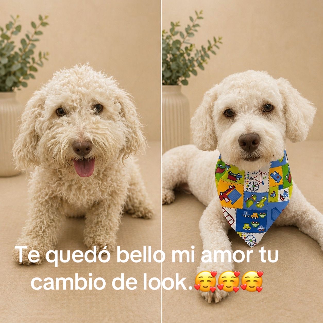@Fatima Carrion