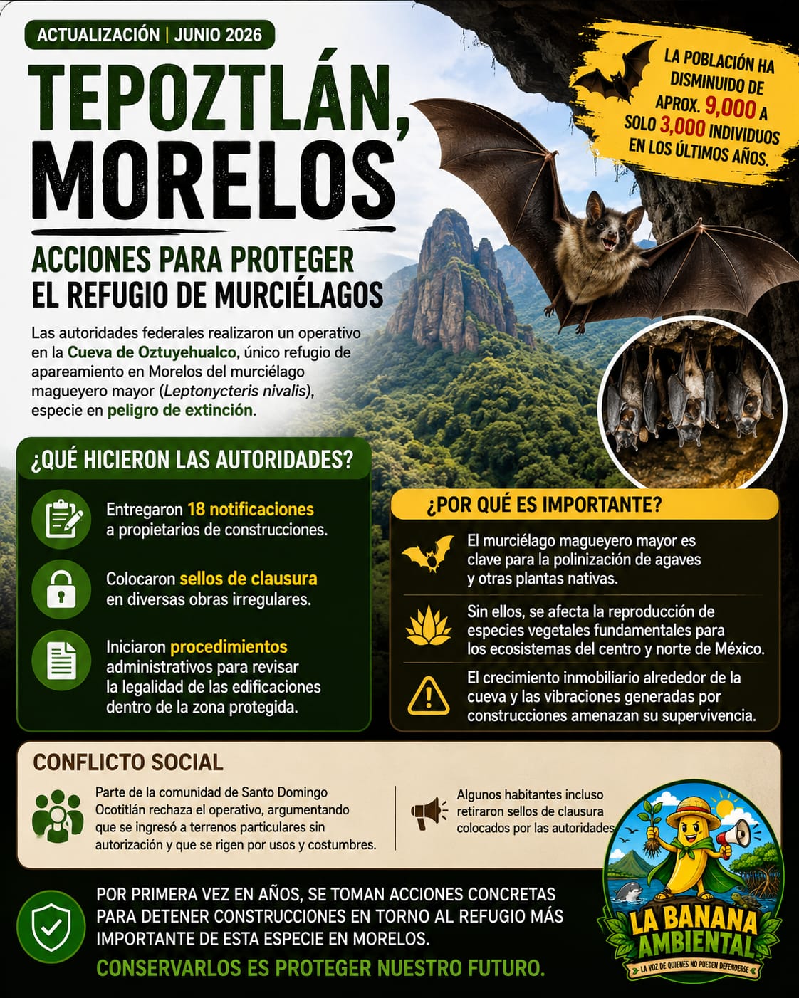 @La Banana Ambiental