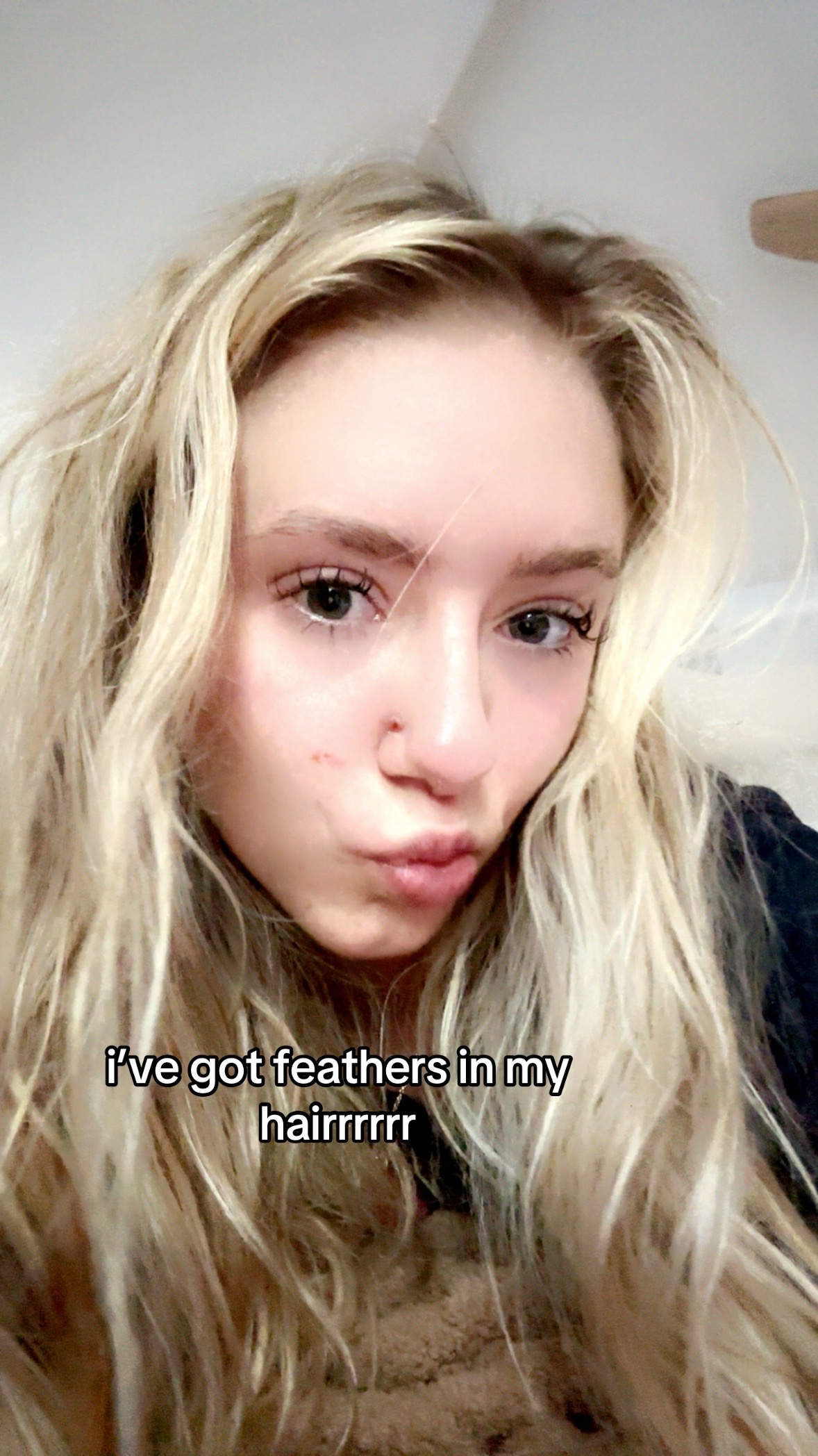 @evee 🤓