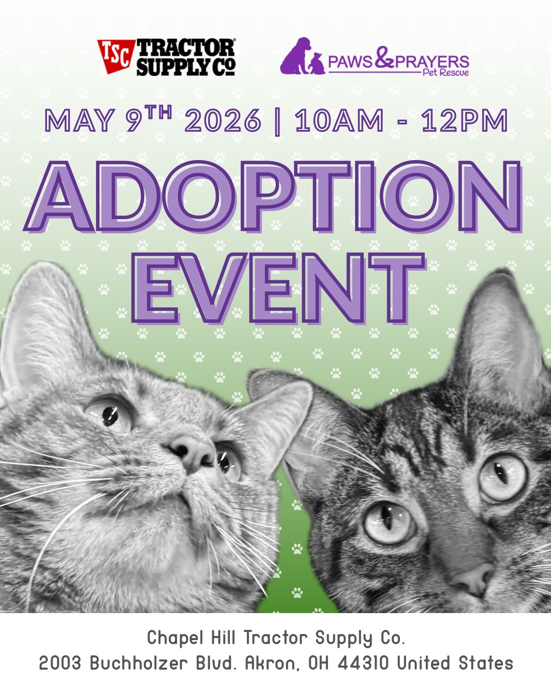 @Paws and Prayers
