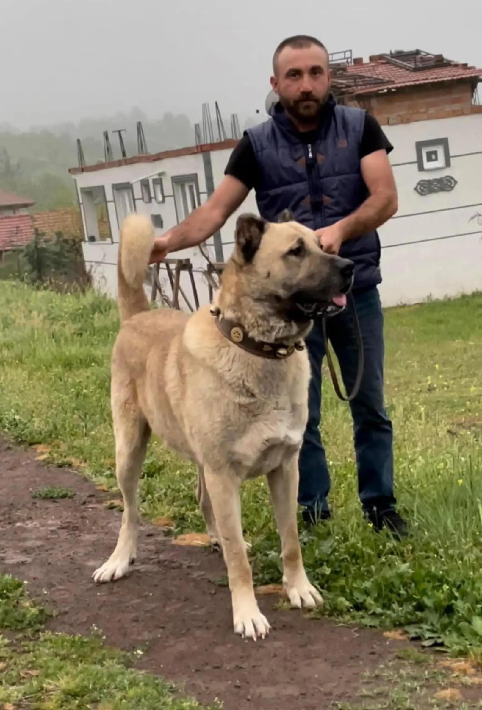 @🏆 TRKANGAL23 🏆