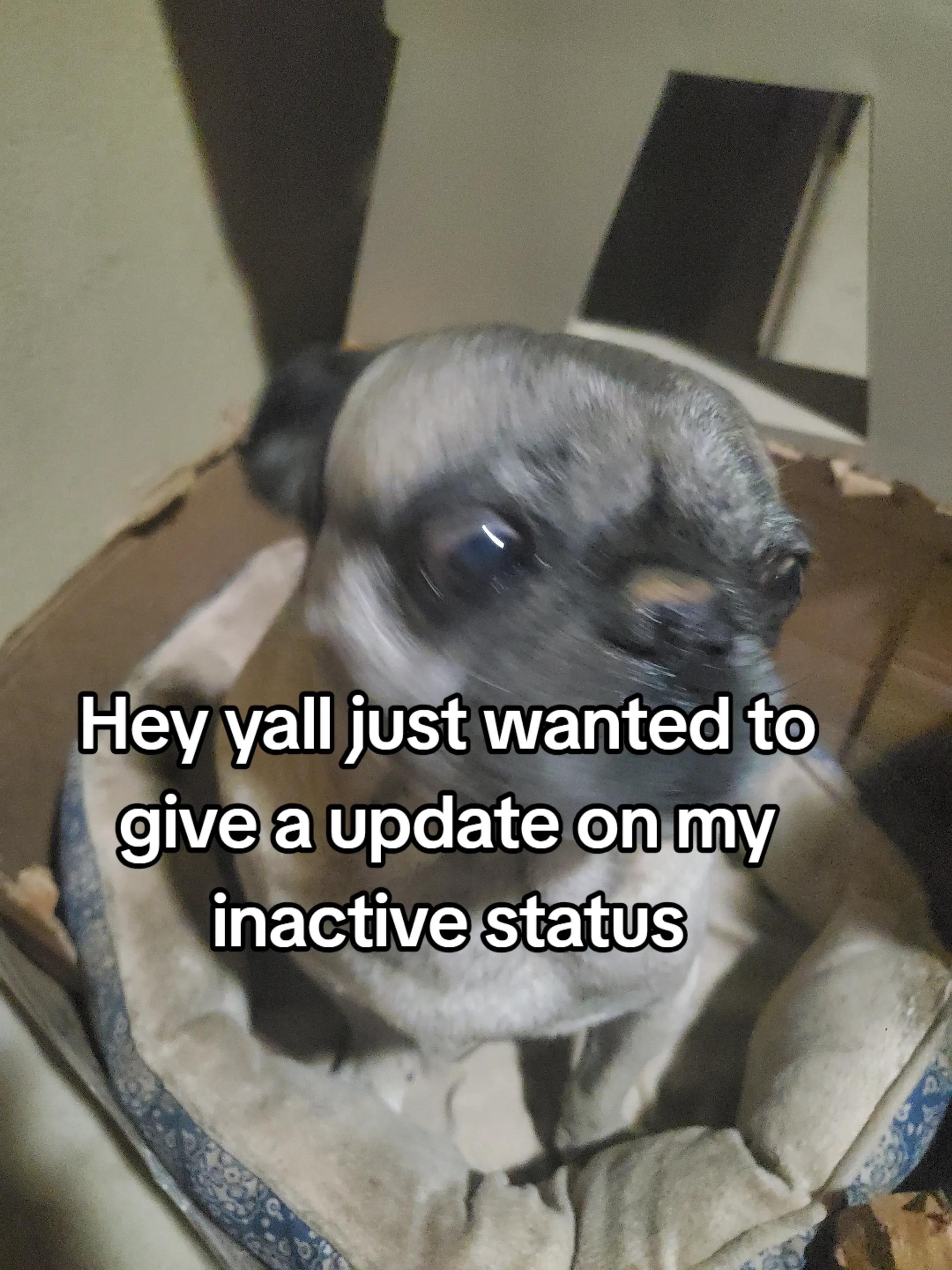 @NightHawkNation
