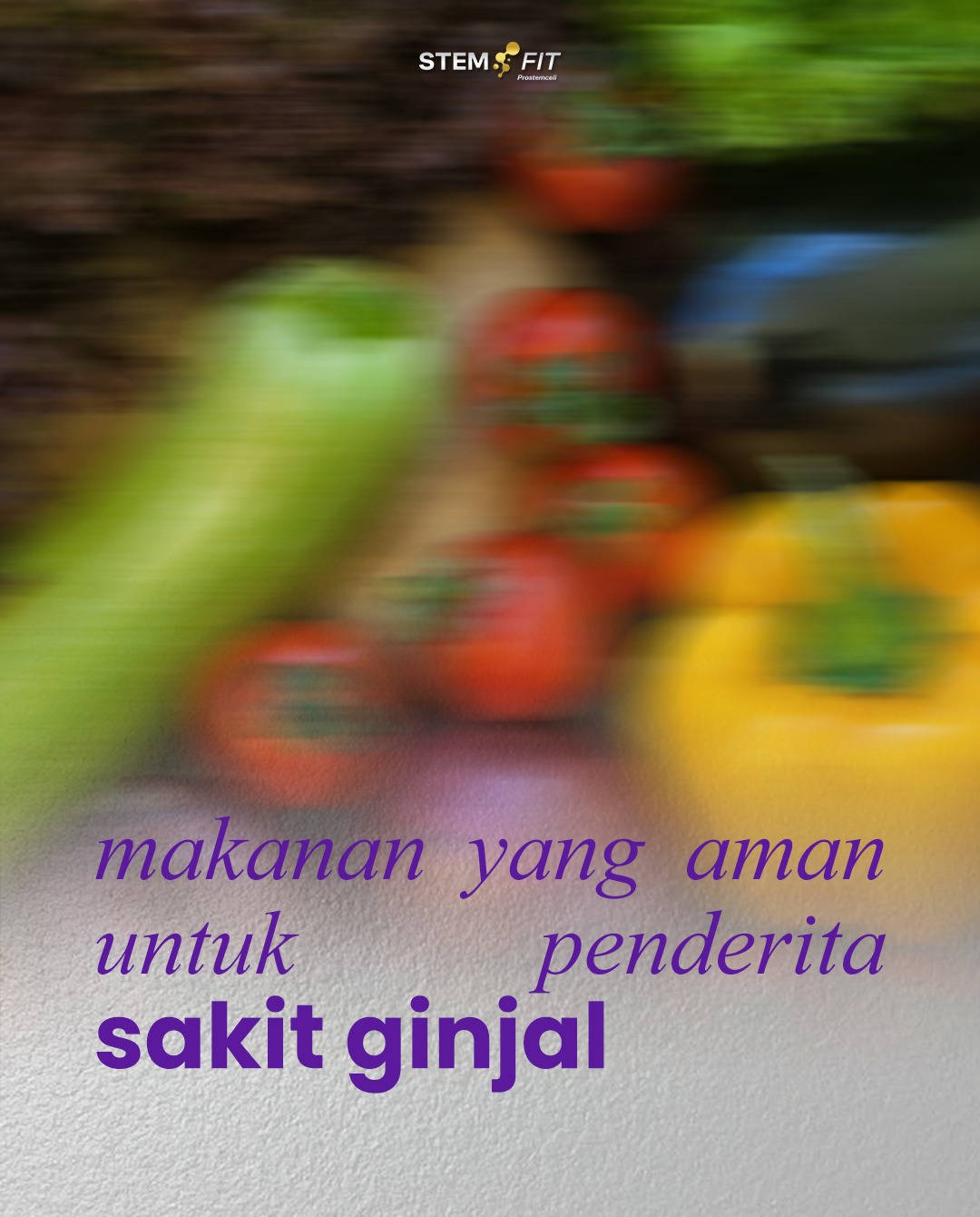 @Stemfit Official