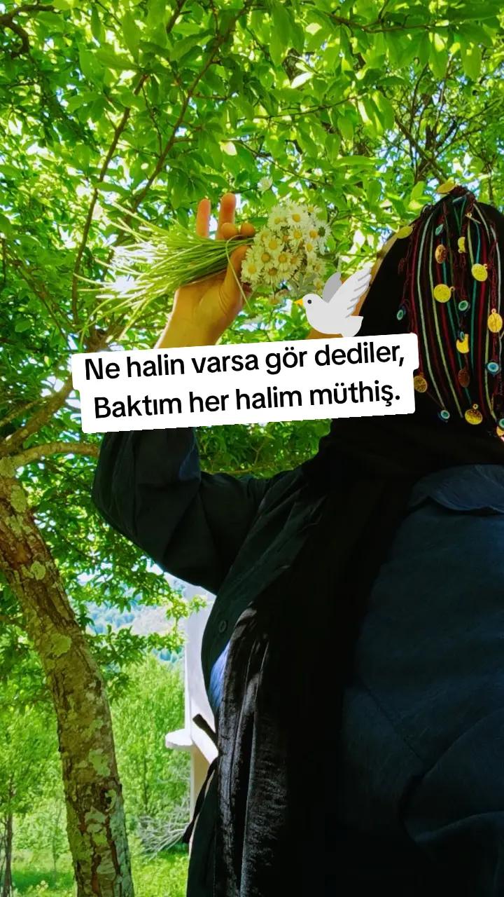@𝓜𝓮𝓵𝓪𝓱𝓪𝓽 🕊️ 𝓔𝓻𝓴𝓪𝓷