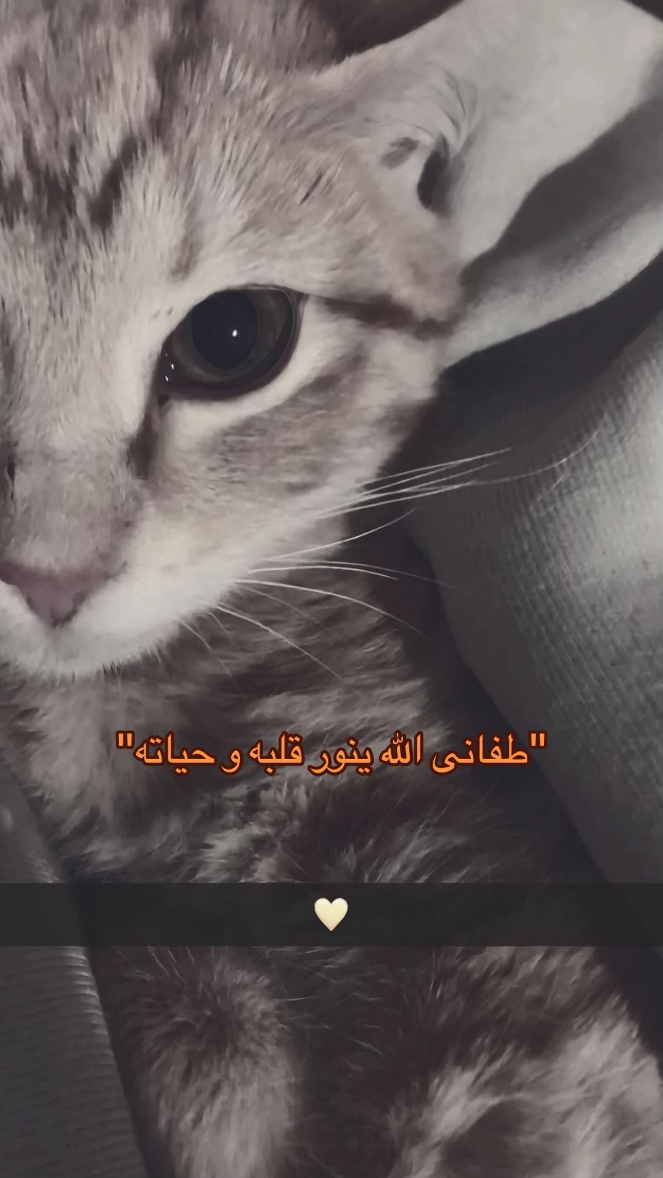 @Reposts 🔃