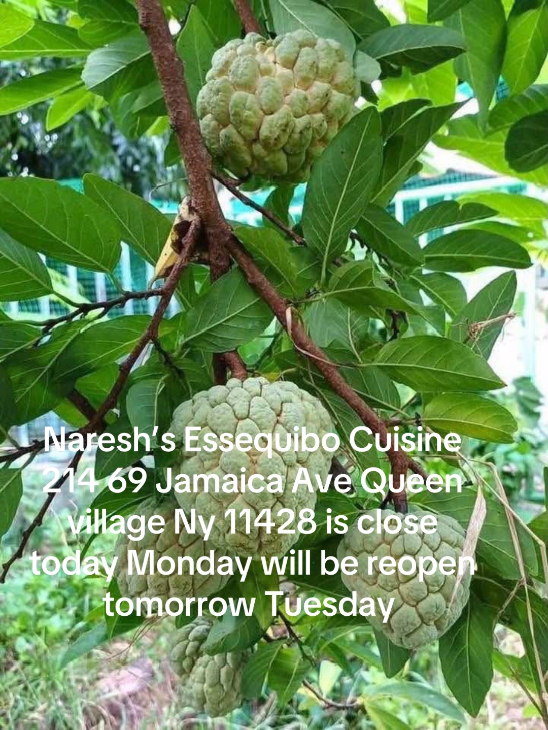 @nareshecuisine