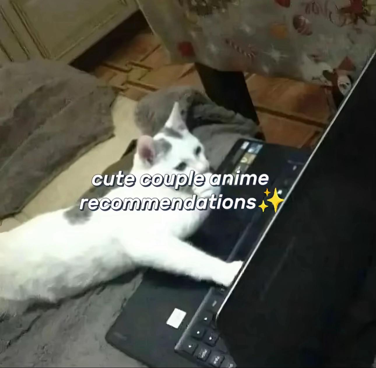 @𝔞𝔫𝔦𝔪𝔢 𝔤𝔢𝔱𝔬