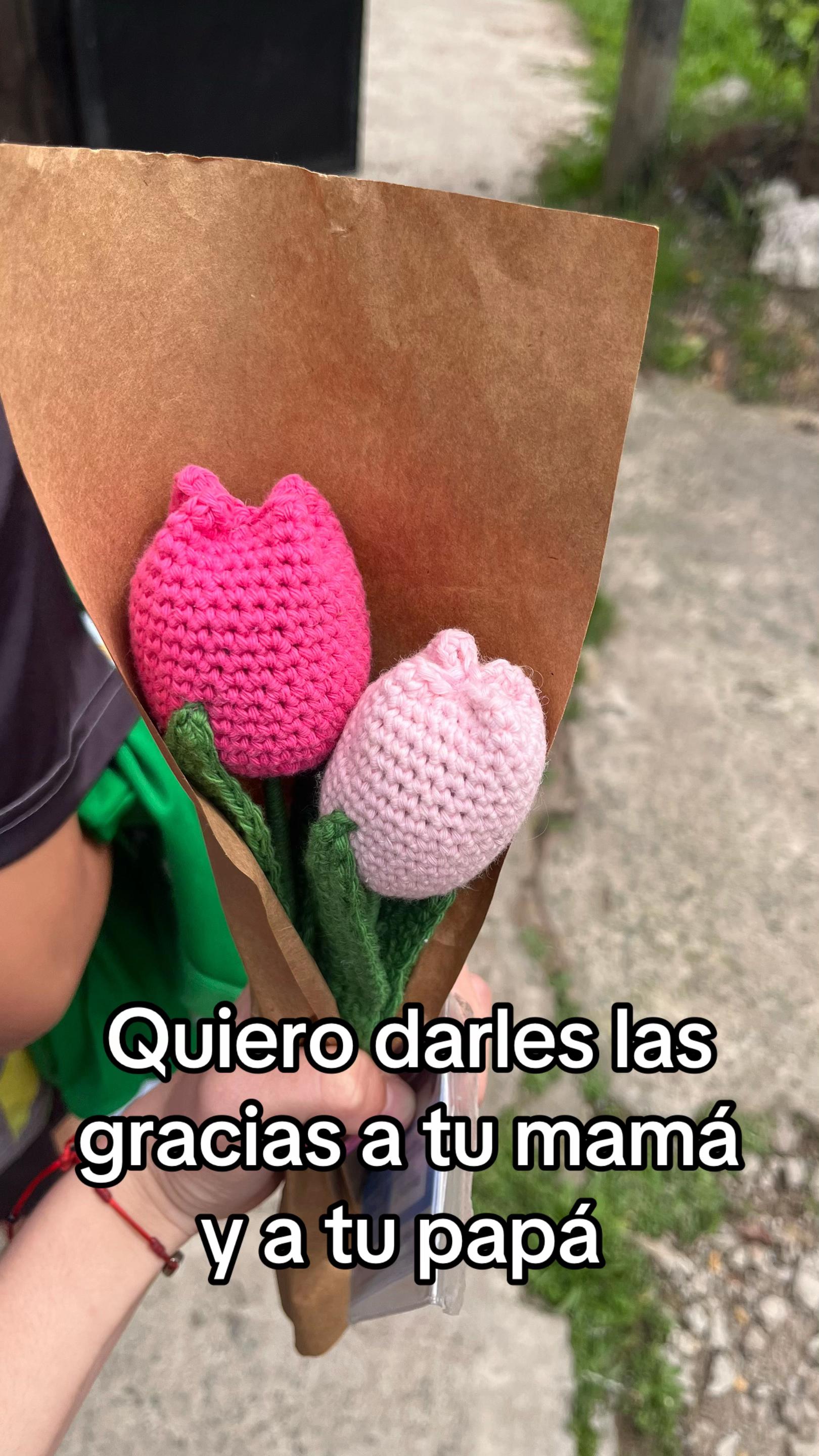 @23.alleegra