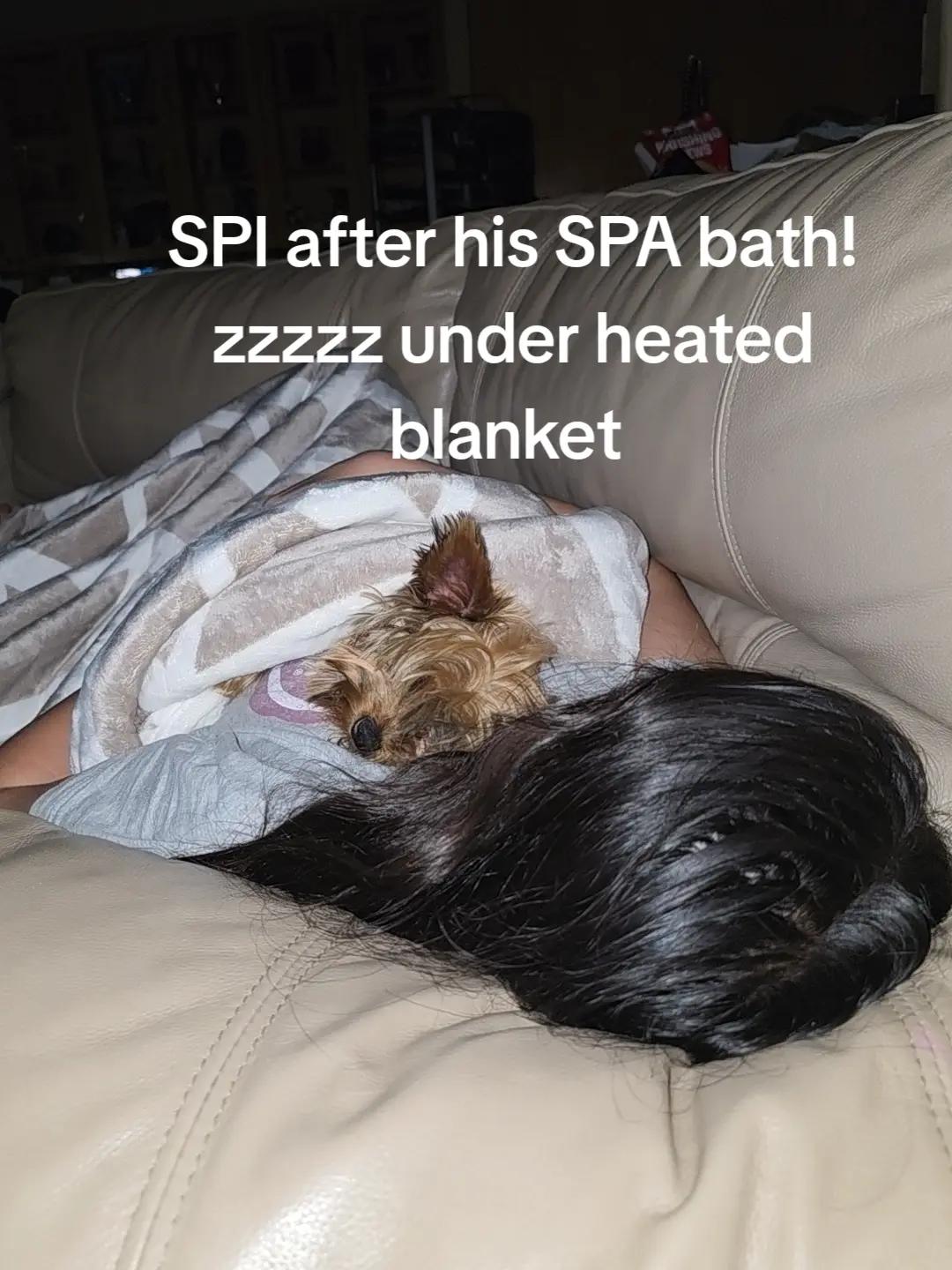 @spi.liciOSO