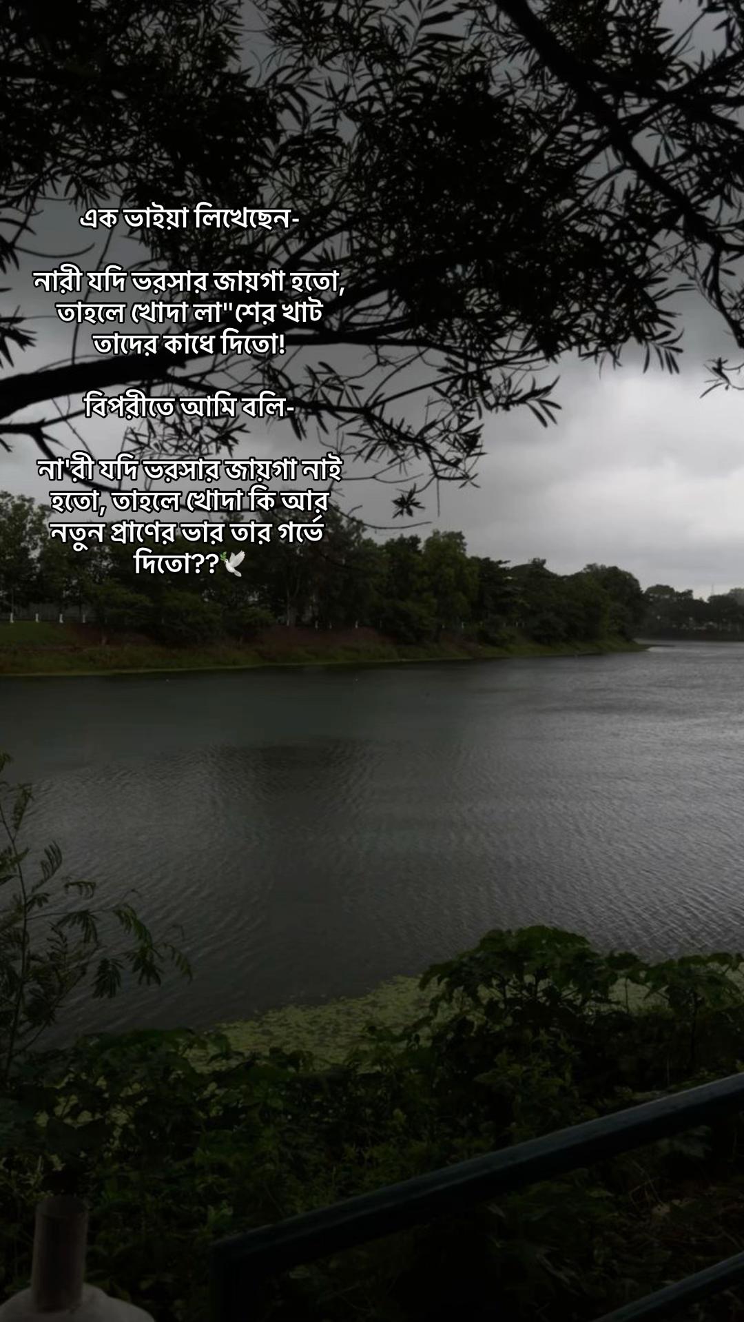 @Taisha/🌪️