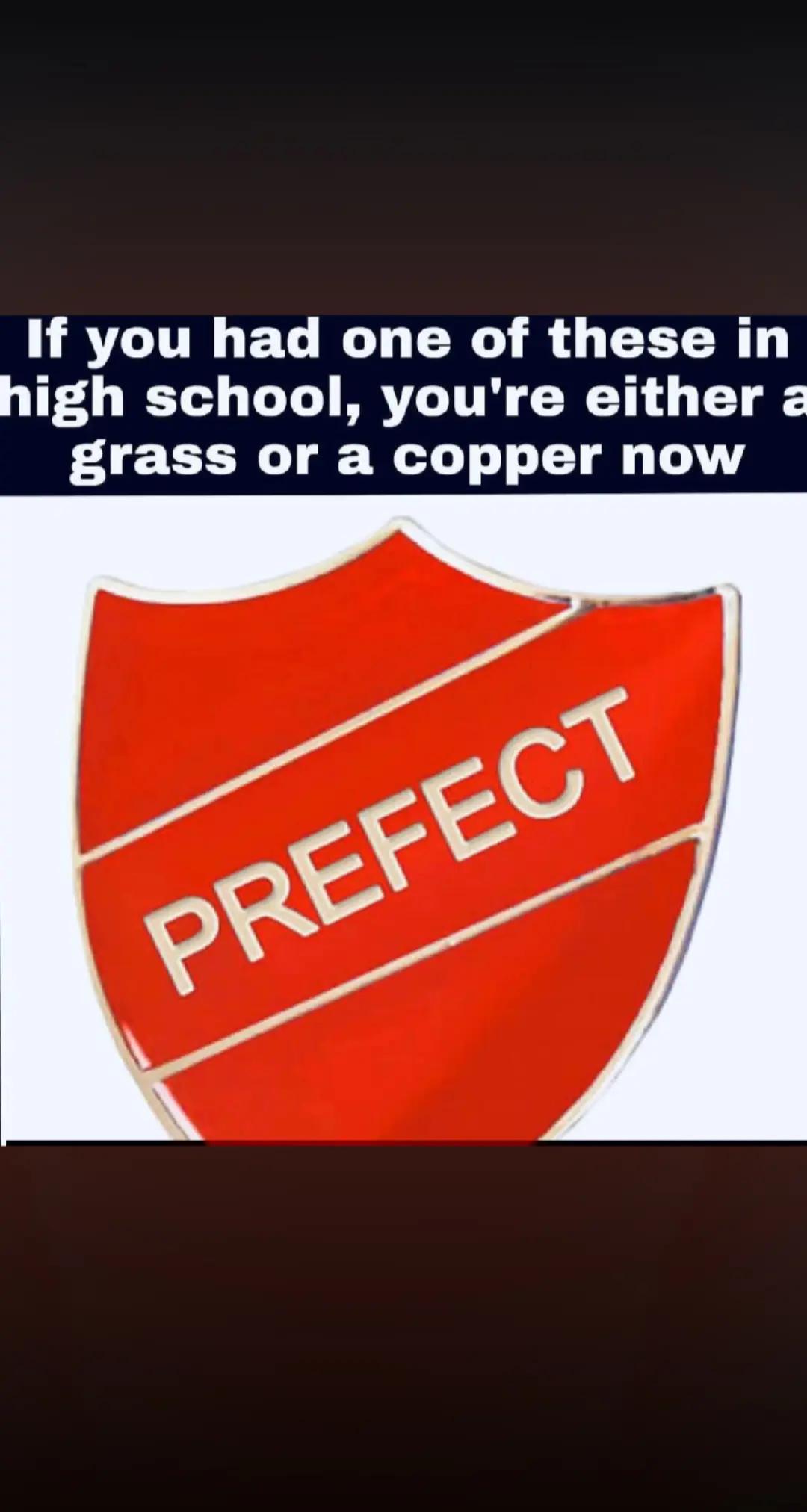 @leelou
