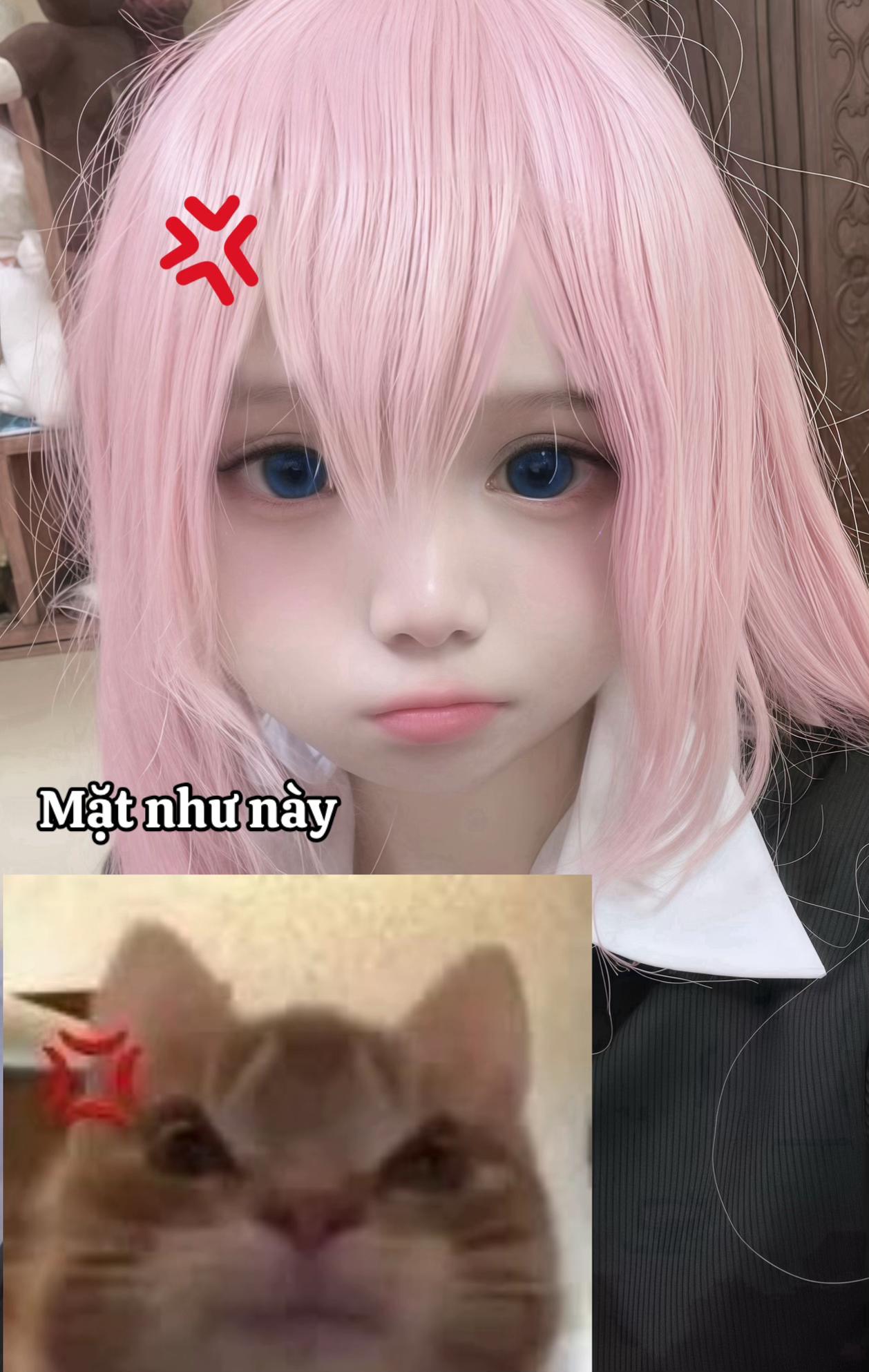 @Tiểu Kỳ