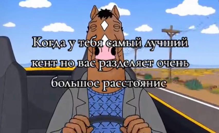 @ТГК:oneway.wlaydeer🎰