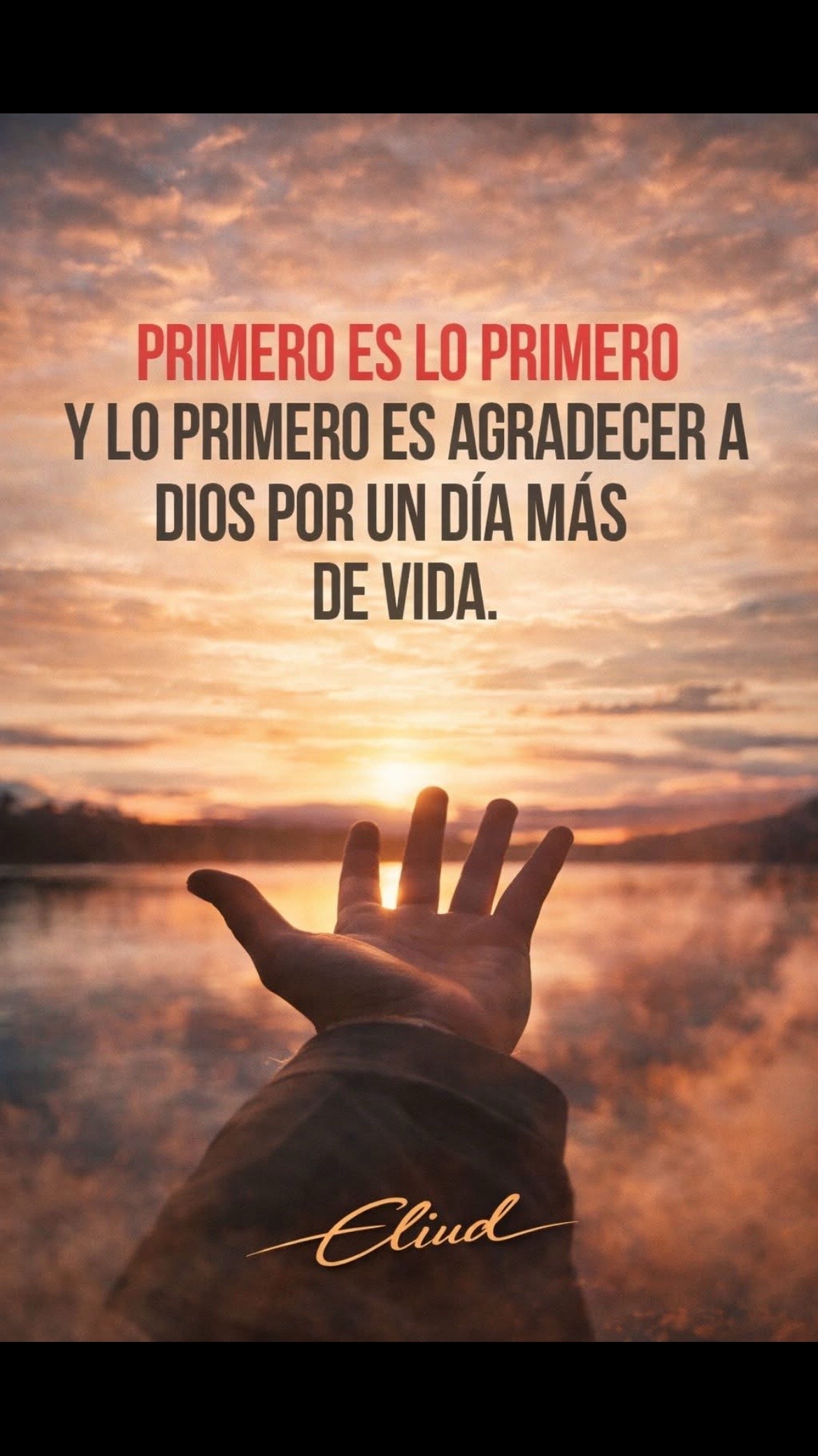 @Pedro Cruz