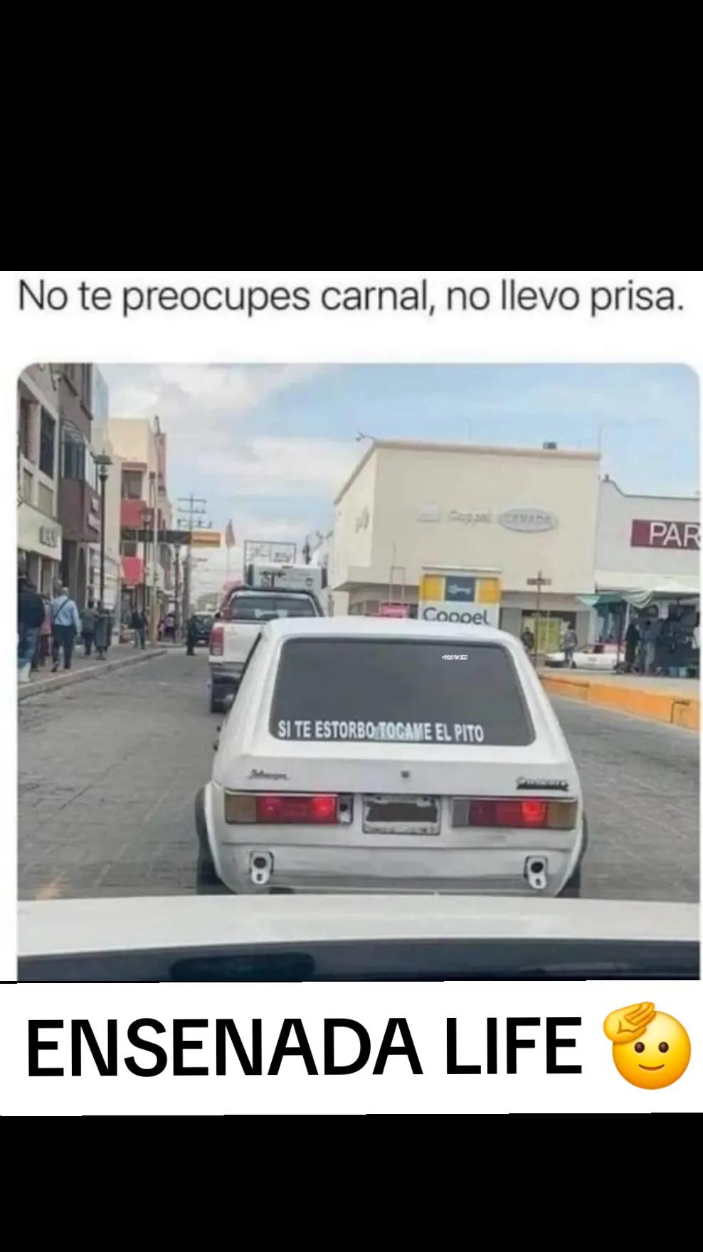 @EL Gallo Salcedo🇲🇽